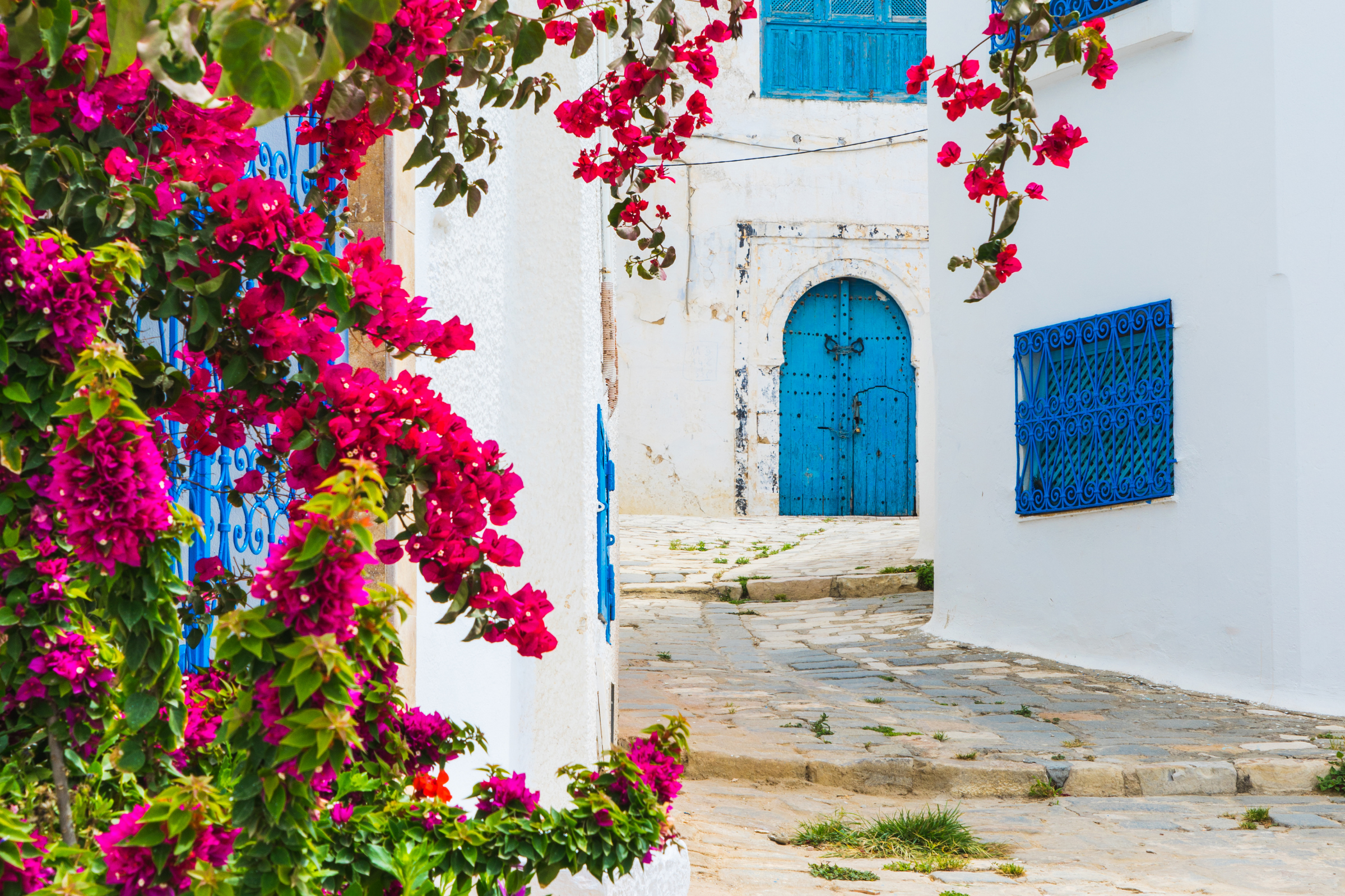 sidi bou said (4).webp